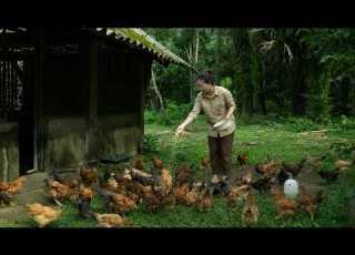 Putting Aside All Worries The Single Mother Aspires To Expand Her Chicken Farm