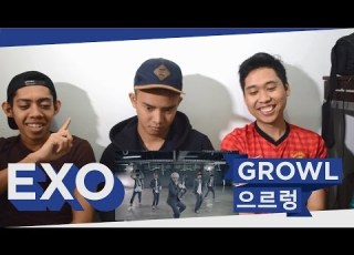  Indonesians React To K Pop EXO Growl Non K Pop Fan