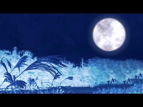 平原綾香 スマイル スマイル ピアノ