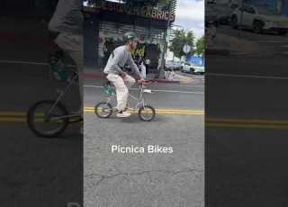  Lowrider Bikes Vs Bridgestone Picnica