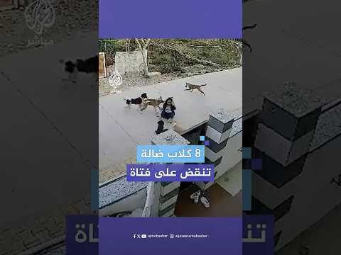 8 كلاب ضالة تهاجم فتاة في الهند شاهد ما حدث