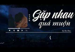 Gặp Nhau Quá Muộn Đại Đầu Châm 相见恨晚 大头针 Vietsub Pinyin