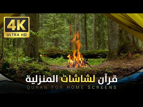 أفضل تلاوة قرآن كريم 4K UHD تجربة فريدة من نوعها للشاشات المنزلية
