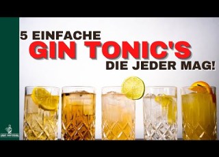  5 Gin Tonic Variationen Schnell Einfach