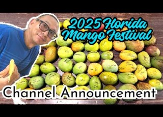  2025 Florida Mango Festival Mango Haul And Channel Announcement