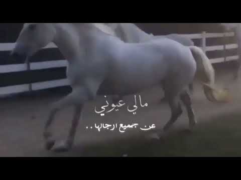 اصاله فارس وما غيره تصميم خيااال