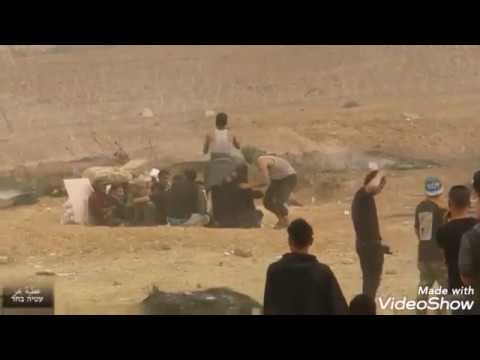 اغنية احرار احرار والعالم يشهد بصوت الطفل محمد