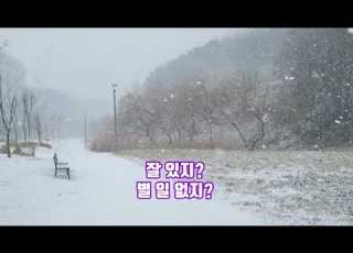 한 해를 보내며 친구를 위하여 이해인