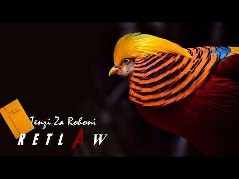 Tenzi Za Rohoni Songs Mix