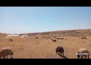 على قلبي يا ناهي