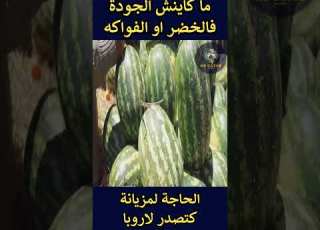 سلعة مزيانة كت لخارج Shorts ابلور المغرب أوربا صادرات غلاء الاسعار غلاء الاسعار Fyp