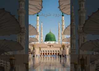 Ya Habib Salam Alaik Allahumma Salli Ala Muhammad Wa Ala Aali Muhammad