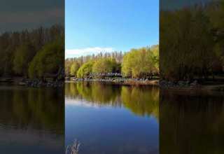 Johann Strauss II The Blue Danube Waltz Op 314