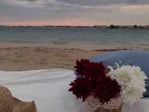 عابرون و الدنيا ليست لنا سنمضي يوما تاركين خلفنا كل شيء احبتي فالله الوصف مهم تقريو الكلام