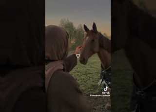 أنا راعي النشامى