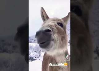 في رمضان هتعمل ايه يوحش