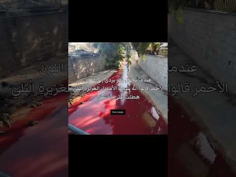 سجن صيدنايا Music топ Song Fypシ Love اكسبلور Beats سوريا