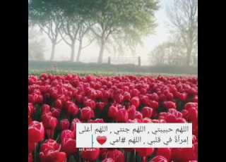 مقطع عن الأم جديد بدون موسيقى نشيد أمي منصور السالمي