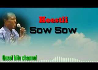  HEESTII SOW SOW MAXAMED AXMED KULUC LYRICS NAfIS SHOW