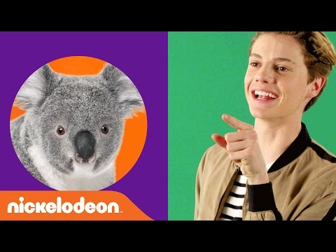 LOL W The Teleprompter April Fools Prank W Jace Norman JoJo Siwa More Nick