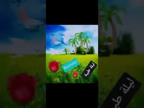 الهوى يديك والهوى يجيبك