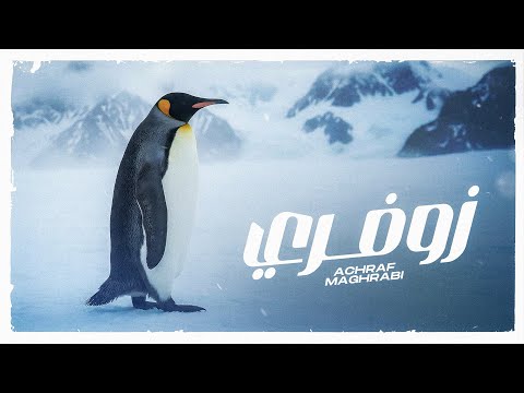 Achraf Maghrabi Zofri Official Lyric Video أشرف مغرابي زوفري