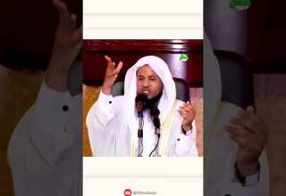 ما هو عمل الملائكة الذين يحملون العرش الشيخ الشنقيطي