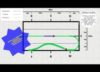 WDAA 2022 WESTERN DRESSAGE INTRODUCTORY LEVEL TEST 4