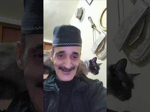 دائما السيرسال اختي قدم لكم الجديد مع المشيشه دياله تيك توك المشير اكسبلور دائما السيرسال اختي قدم لكم الجديد مع المشيشه دياله تيك توك المشير اكسبلور