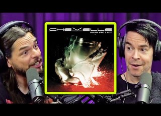 The INSANE History Of Wonder What S Next CHEVELLE