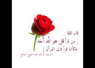ﻷني أحبك أهديك