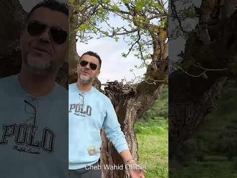 Cheb Wahid Bghitha W Bghatni شاب وحيد ما يا ما هذي سطاتني بغيتها و بغاتني