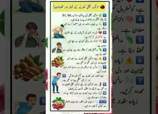 مونگ پھلی کے فوائد اور نقصانات Peanuts Health Tips In Urdu Healthadvice Besturdutotkay