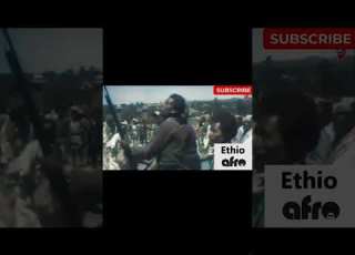  The Amhara Fano Shorts Ethiopian Fanoamhara Amhara