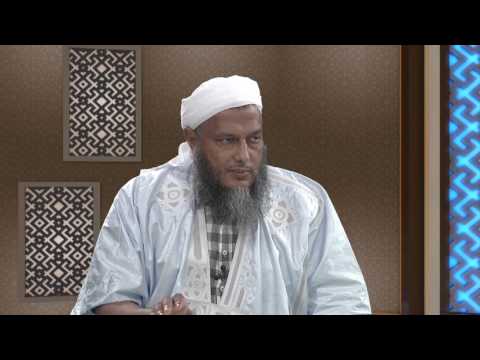 هل تحمل القصص القرآنية على أنها حقائق تاريخية وقعت كما قصها القرآن الكريم برنامج معالم2