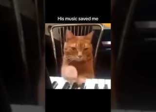 Dramamine Flawedmangoes Indie Newmusic Viral Tiktok Shoegaze Hopecore Freakbob