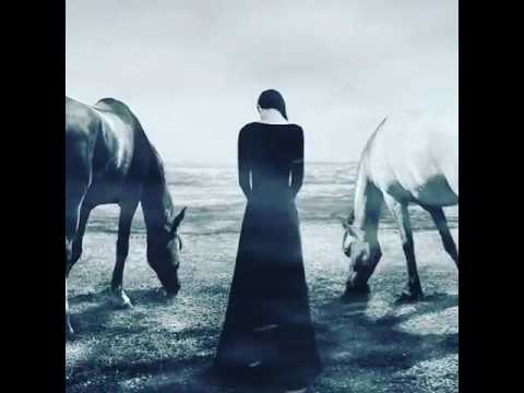 Shadmehr Sabab Version 2