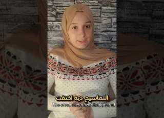 تمساح في النيل