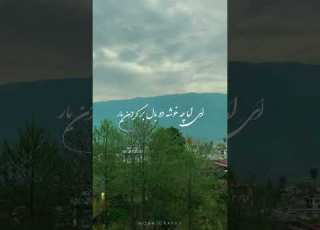  اما چه خوشه بنفشه در فصل بهار ای مازندران شمال سنتی ایرانی