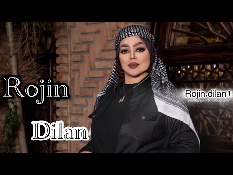 روژین دیلان هنرمند