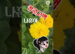  Youth Confession Na Hoon A