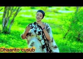 Dhaanto Cusub 2026 6 12