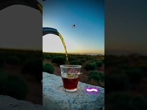 يا طير امانه روح ع هلي ودي يا يمه يلا على الغربة حسام اللباد حالات واتساب اغاني درعا حوران