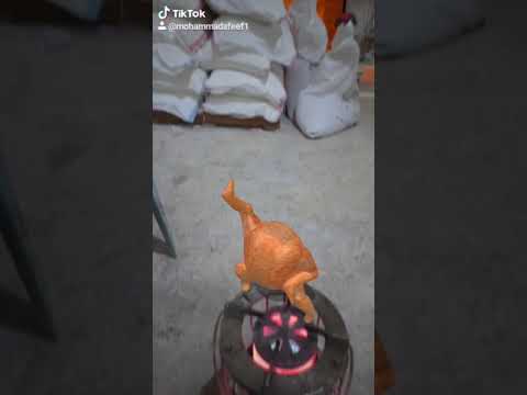 اغنية الهدف مرصود والرشاش جاهز دجاج ه اغنية الهدف مرصود والرشاش جاهز دجاج ه