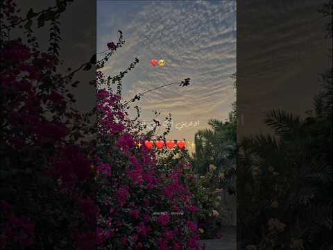 اوعديني إن انتي تبقي زي ضلي متبعديش تصميمي Foryou حالات واتس بتاعedit