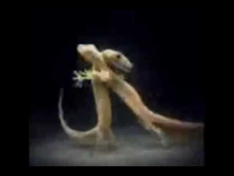 والله مايسوه اعيش الدنيا دونك