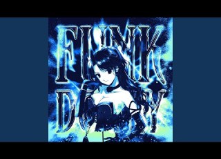  FUNK DO FLY Slowed