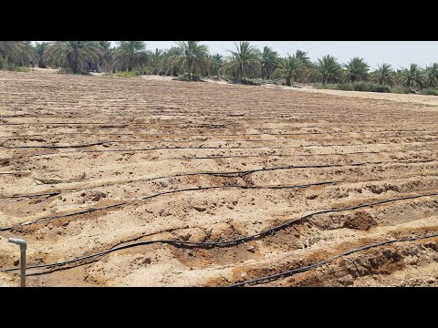 تخطيط الأرض للزراعة والشروط الواجب توافرها عند الخطوط