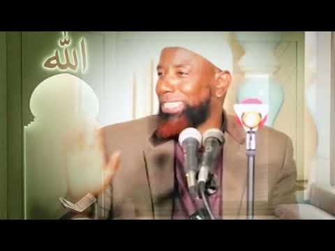 Gorsa Ajaa Ibaa Sheikh Amiin Ibroo