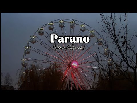 Parano Slowed Reverb Error 98 Late Night Vibes